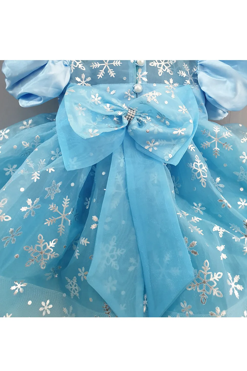 Aqua Blue Embroidered Organza Dress