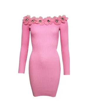 Arya Pink Ribbed Knit Dress
