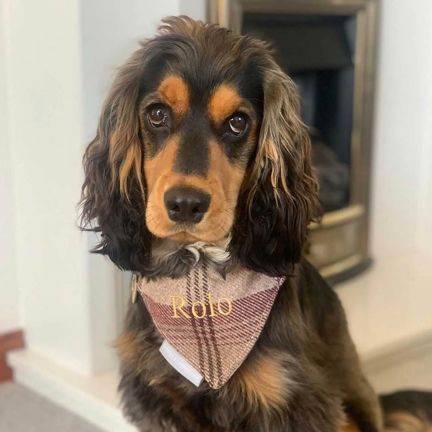 Bandana in Balmoral Tweed by Lords and Labradors