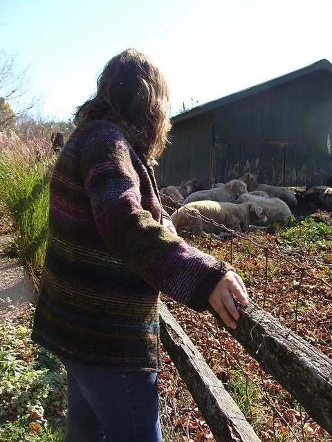 Farmstand sweater pattern