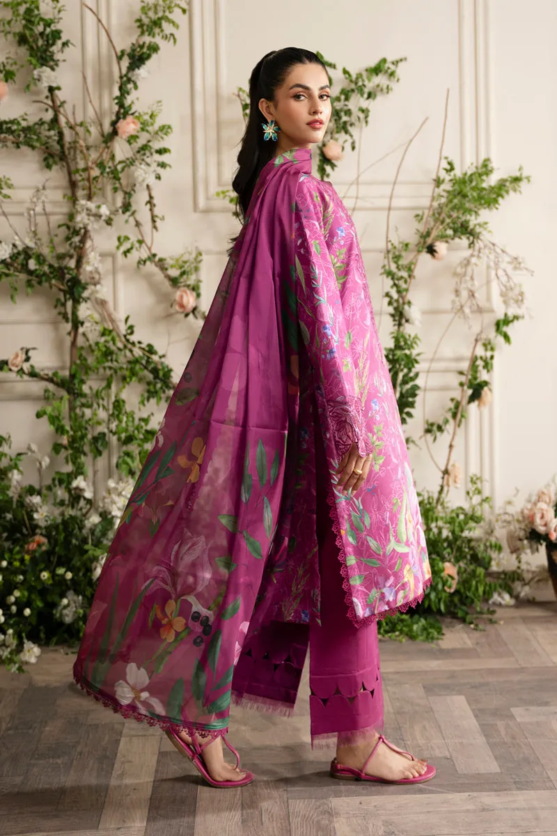 Rang Rasiya Lifestyle Embroidered Lawn Edit – Mirha